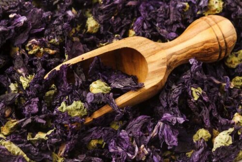 Katost er et af de bedste afføringsmidler med urter