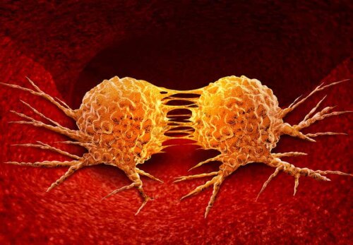 To kræftceller