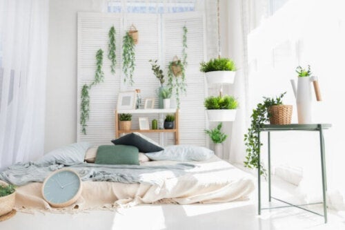 At sove med planter i soveværelset: Stjæler de vores ilt?