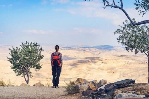 Kvinde ser på ørken