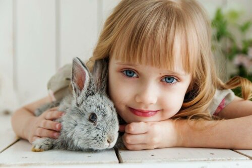 Pige har kanin som kæledyr
