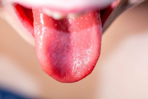 En lyserød tunge kan afsløre et godt helbred