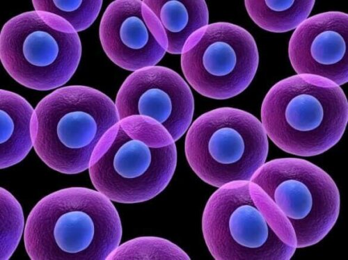 Fedtceller symboliserer spændende fakta om kropsfedt