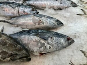 Sådan identificerer du fordærvet fisk
