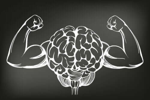 De 8 bedste øvelser til at styrke hjernen
