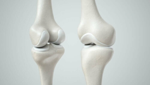 Illustration af osteogenese