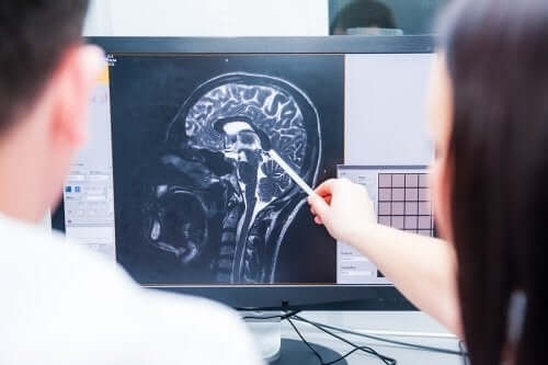 Hvad er det neuroendokrine system?