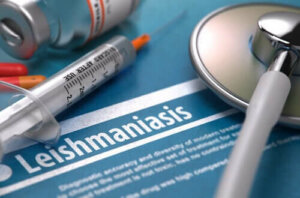 Er leishmaniasis smitsom?