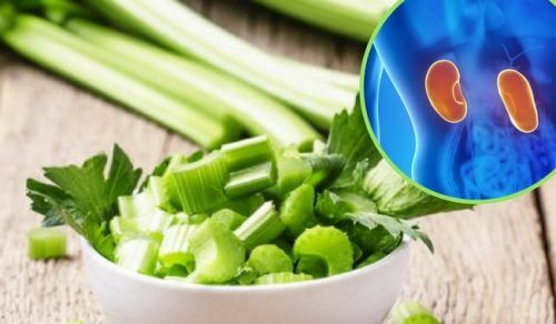 Fem lægeurter til at bekæmpe nyresmerter