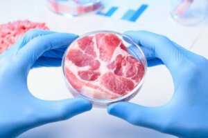 Fordele og ulemper ved syntetisk kød