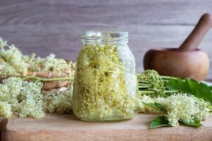 Mjødurt: Mulige fordele og kontraindikationer