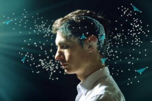 Filosofi om sindet: Forholdet mellem sind og hjerne