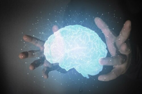 Hænder, der holder om hjerne, symboliserer filosofi om sindet