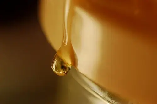 Honning kan bruges til at behandle salmonella
