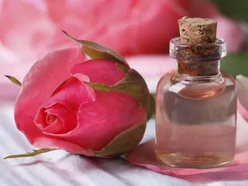 Hvornår Imagination middag 7 måder at bruge rosenblade på i din skønhedsrutine