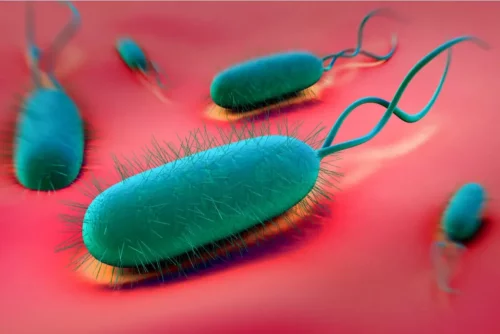Illustration af en bakterie