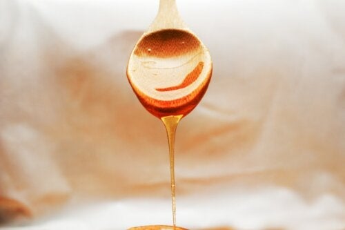 Videnskabelig undersøgelse finder ud af, hvorfor honning er det bedste naturlige antibiotikum