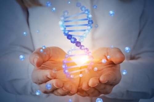 Det menneskelige genom-projekt