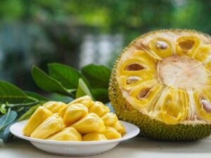 Jackfrugt: Frugten, der er en vinder blandt veganere