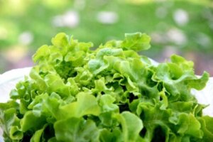 Kan te af salat hjælpe mig med at sove bedre?