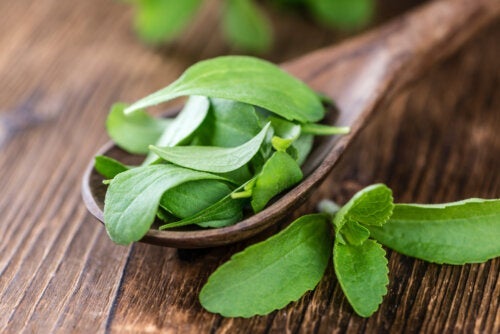 Hjemmelavet flydende stevia: Næringsstoffer og opskrift