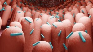 Postbiotika: Hvad de er, og hvordan man får dem