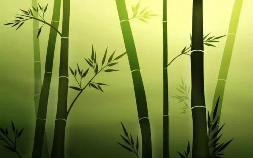 Tegning af bambus, der kan give privatliv i haven