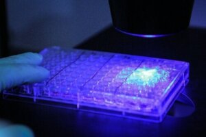 Ny kræftbehandling? Fotoimmunoterapi eliminerer med succes ondartede celler