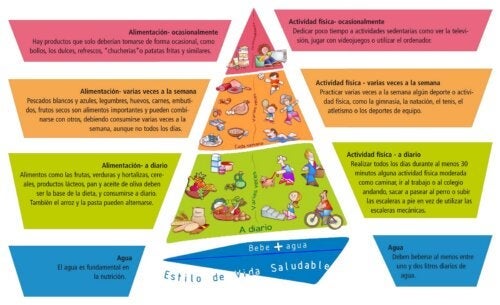 NAOS-pyramiden: Strategier til forebyggelse af fedme hos unge