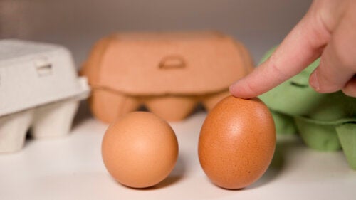 Er det dårligt at spise rå æg?