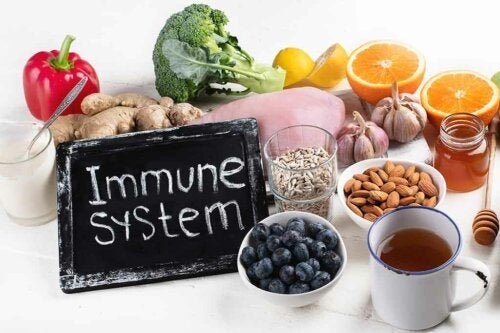 5 fødevarer, der hjælper immunsystemet