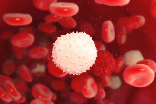 Leukocytter i blod