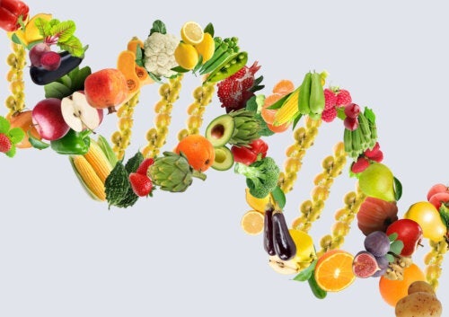 Hvordan hjælper nutrigenomics dit helbred?