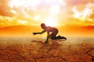 Hvad er fødevareørkener, og hvad er deres indvirkning på sundheden?