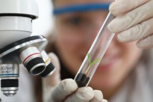 Empirisme: Hvad det er, karakteristika og eksempler