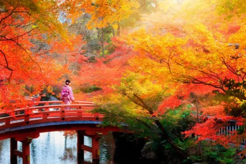 En smuk japansk have