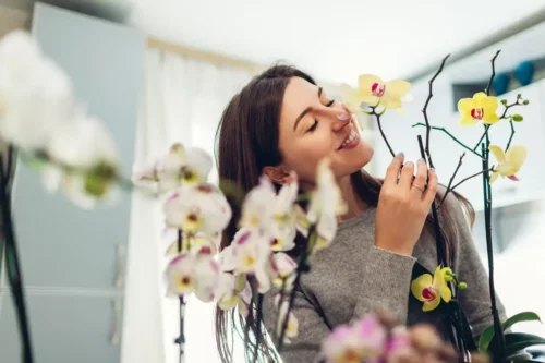 Kvinde dufter til en orkidé, som er allergivenlige blomster