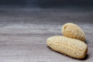 Loofah-svampe: Fordele og hvordan man bruger dem