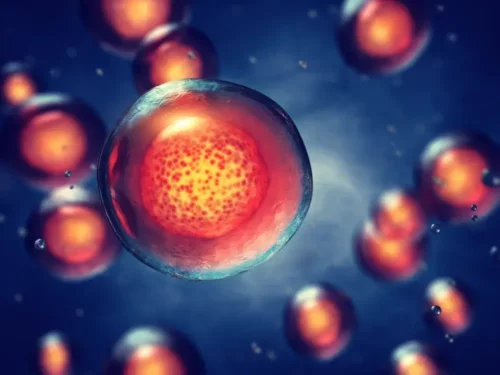 Illustration af stamceller