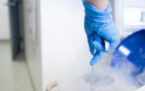 Ægdonation: En solidarisk handling