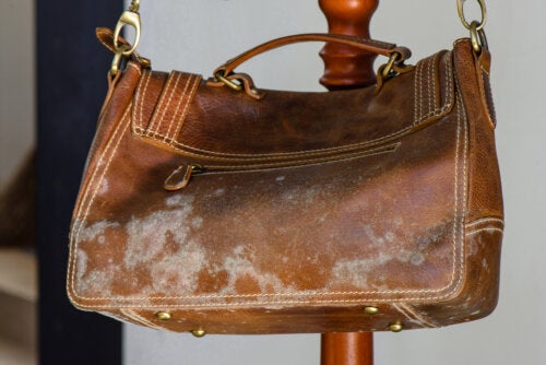 stivhed Mellemøsten Afvise Sådan kan du rengøre lædertasker og punge