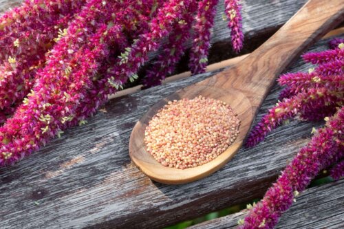 Blomster og korn fra gåsefod
