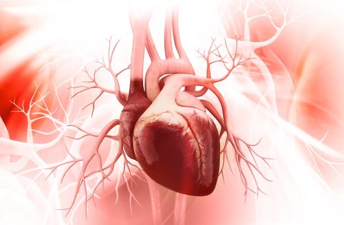 5 tips til at forebygge knust hjerte syndrom