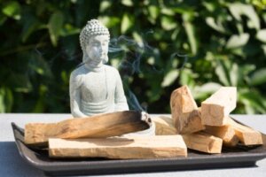 Palo Santo: Fordele og anvendelser af "helligt træ"
