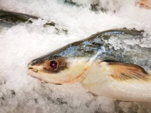 Havkat: Ernæring, fordele og mulige risici