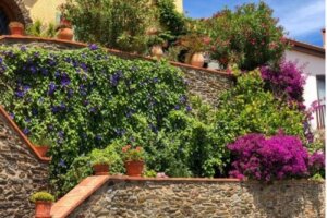 De 5 bedste planter til landskabspleje