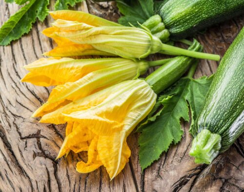 Squashblomster