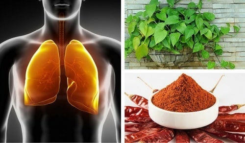 Sådan kan du rense lunger og bronkier
