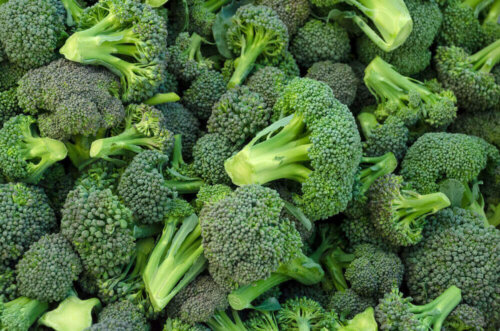 En masse rå broccoli
