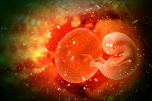 Hvad er embryoadoption, og hvad er fordelene ved det?
